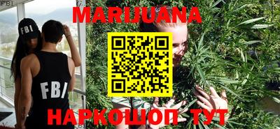 крисы Балаково