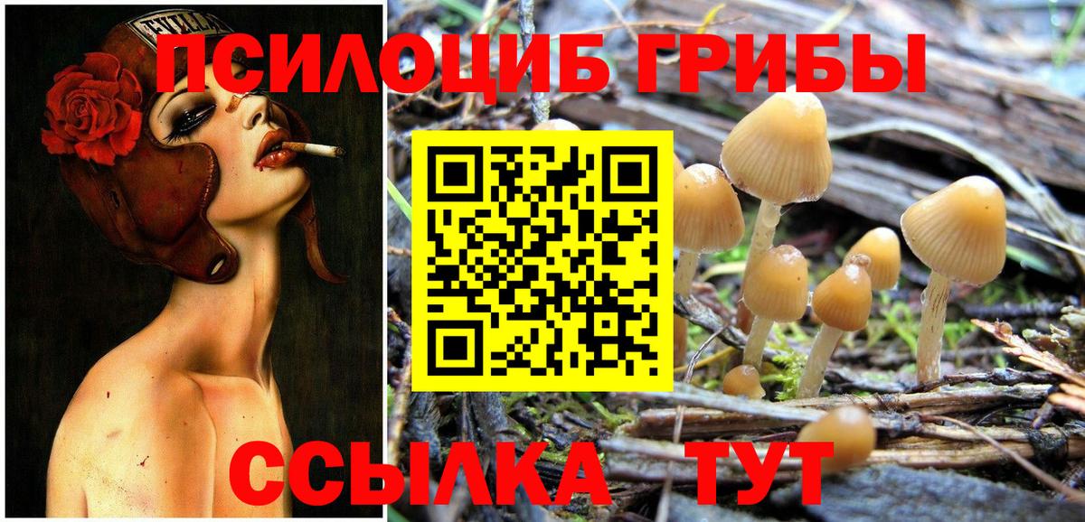 Псилоцибиновые грибы ЛСД Владикавказ
