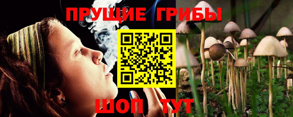 магазин  наркотиков  Псилоцибиновые грибы Psilocybe  Вход с VPN  Владикавказ 