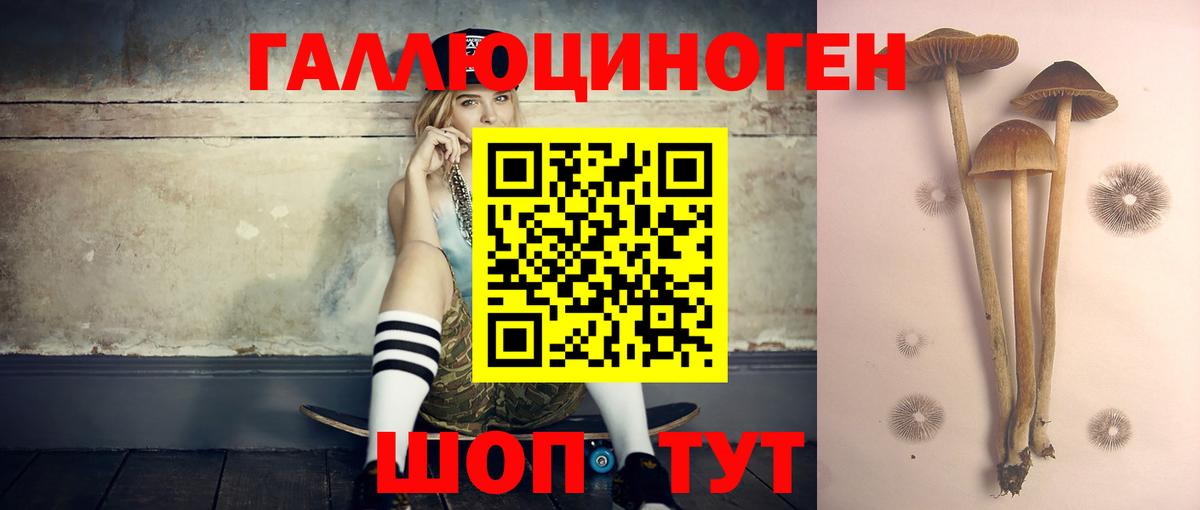 Псилоцибиновые грибы Magic Shrooms  Владикавказ 